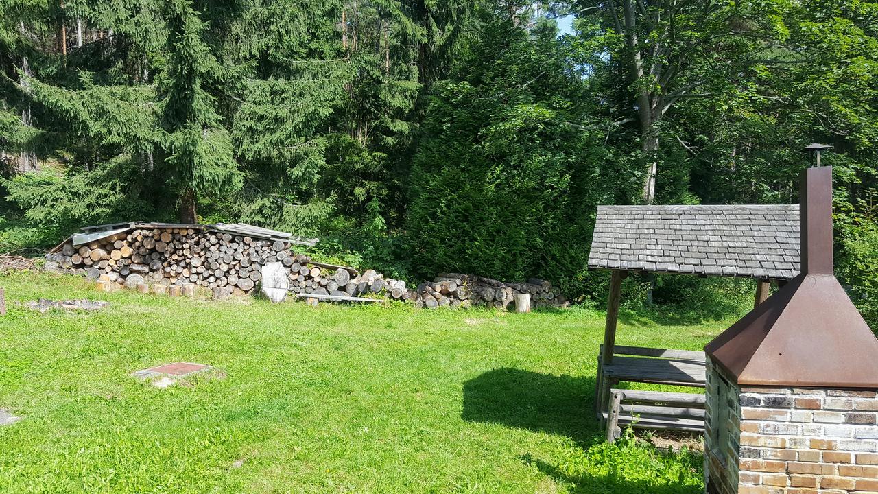 Malebná chalupa u Javorníku na Šumavě Vacov Esterno foto